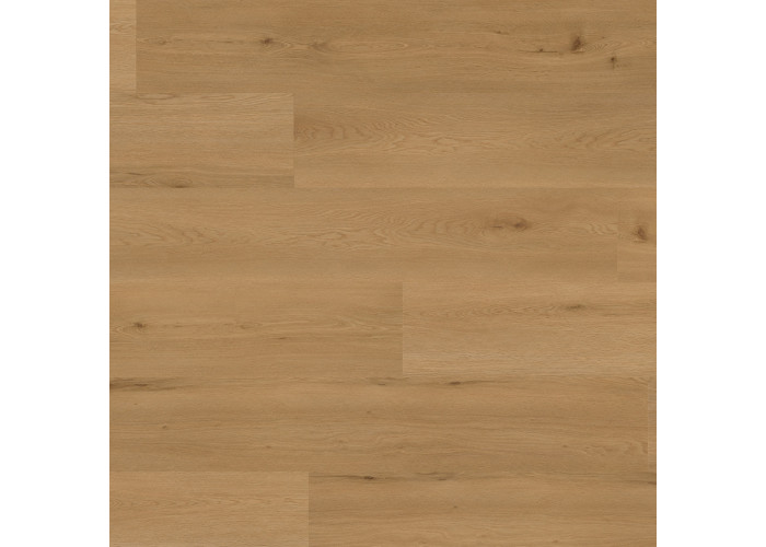Вінілове покриття Oak Lyon*, brushed, matt SOLID (1 сорт)