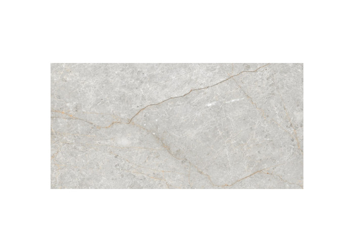 Керамограніт CERAMICA DESEO Lasa сірий 120x60 см 542840