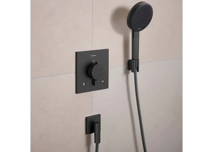 HG Raindance Alive Select S Ручний душ 125 3jet EcoSmart, brushed black chrome Hansgrohe чорний 24511340