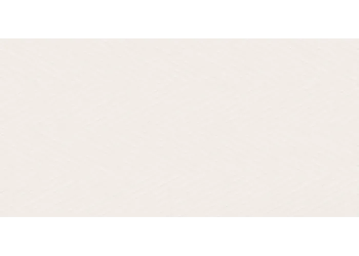 Плитка стінова Feelings Bianco Dekor RECT 298x598x9 Paradyz