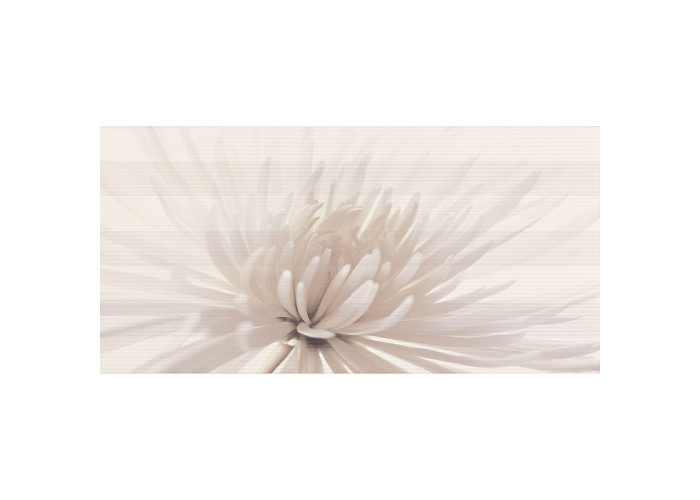 AVANGARDE CENTRO FLOWER (1 сорт)