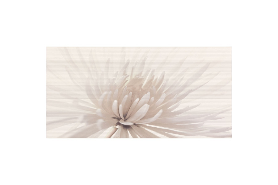 AVANGARDE CENTRO FLOWER (1 сорт)