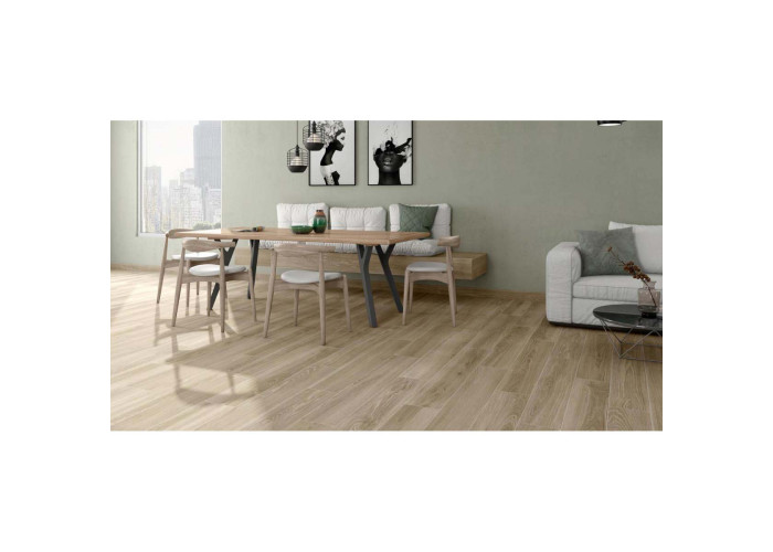 20x120(n) AREN SIENA (1 сорт)