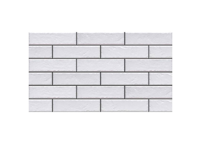 ELEWACJA FOGGIA BIANCO (1 сорт)