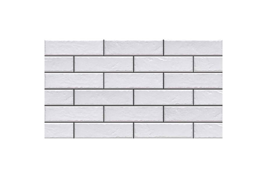 ELEWACJA FOGGIA BIANCO (1 сорт)