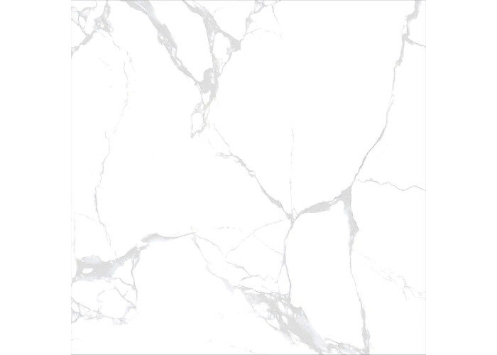 10TB036  TALITA (1 сорт)