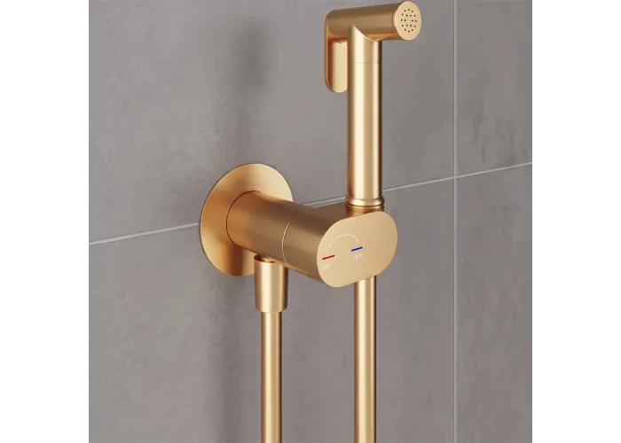 Flow Гігієнічний душ, brushed gold DEVIT золото 550539BG