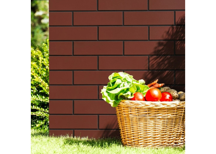 ELEWACJA BURGUND (1 сорт)